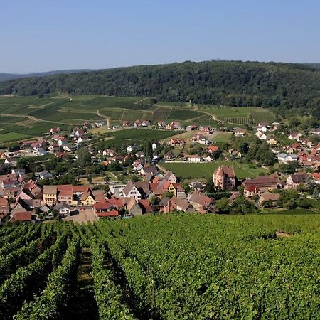 Ferienwohnung La Tête Au Soleil Soultzmatt Exterior foto