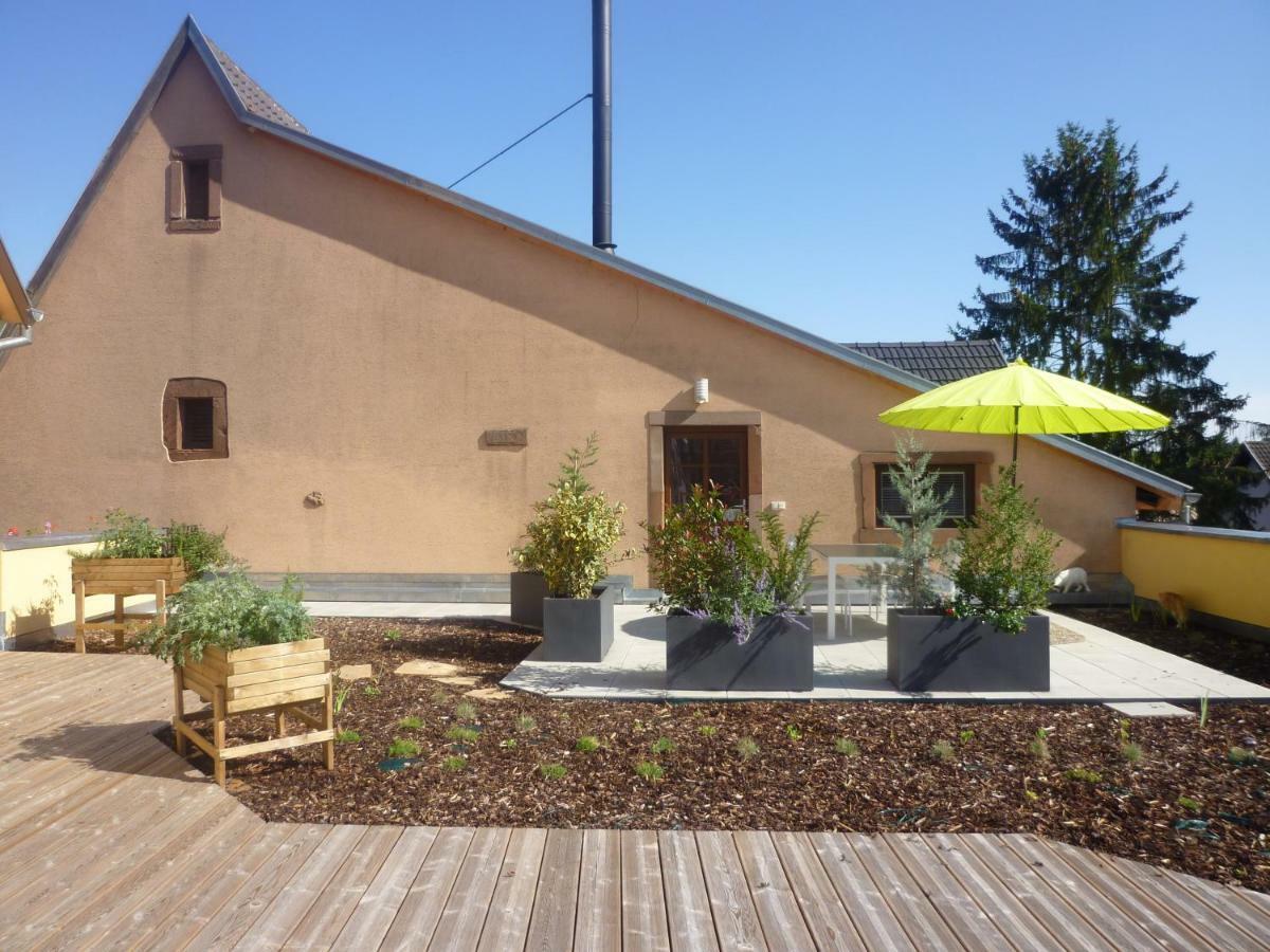 Ferienwohnung La Tête Au Soleil Soultzmatt Exterior foto