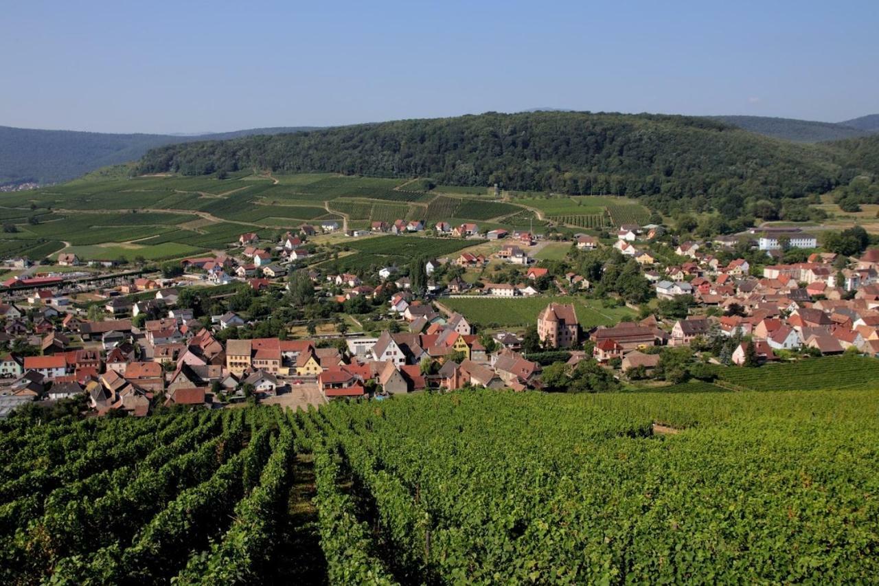 Ferienwohnung La Tête Au Soleil Soultzmatt Exterior foto